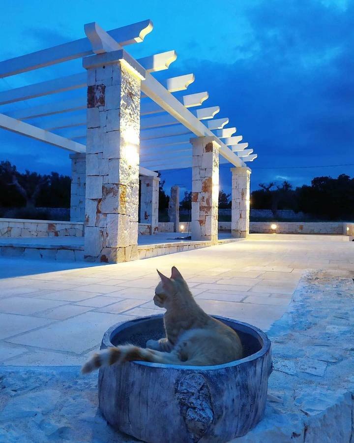 Le Chiancarelle, Casa Vacanza Alberobello Dış mekan fotoğraf