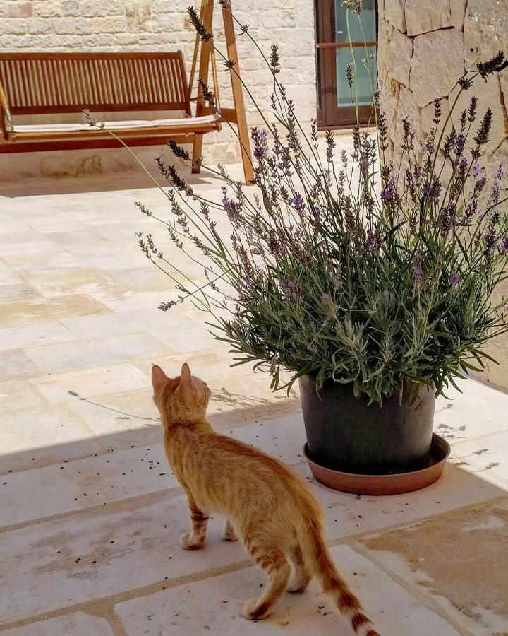 Le Chiancarelle, Casa Vacanza Alberobello Dış mekan fotoğraf